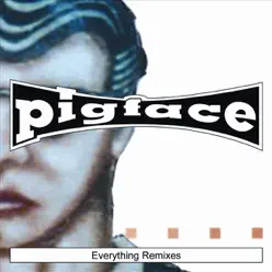 Everything Remixes - Pigface