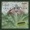 Tim Wheater - Pacificus