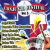 Conjunto Festival Vol. 5, 2010