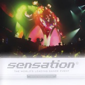 Sensation 2006 artwork