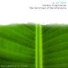 Silvano Michelino - Primary Forest