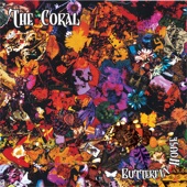 The Coral - Walking In the Winter