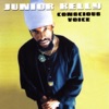 Junior Kelly - Love So Nice