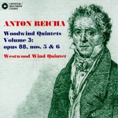 Quintet in B-Flat Major, Op. 88, No. 5: IV. Finale. Rondo. Allegro artwork