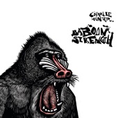 Baboon Strength artwork