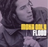 Flood