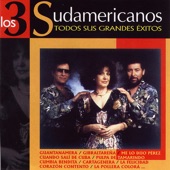 Todos Sus Grandes Exitos artwork