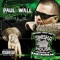 That Fire (Featuring Trina) - Paul Wall featuring Trina lyrics