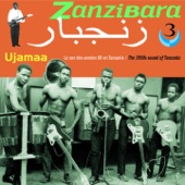 Zanzibara 3 artwork