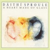 A Heart Made of Glass