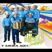 David Lee Garza y Los Musicales - Cuando Llegas Tu