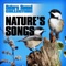 Chirping Budgie - Nature Sound Collection lyrics