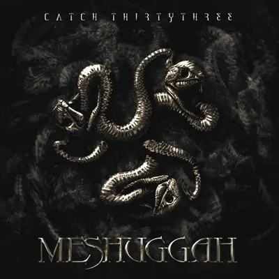 Chatch Thirtythree - Meshuggah