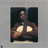 Caetano Veloso - O Leãozinho