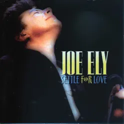 Settle for Love - Joe Ely