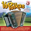 16 Zünftige Polkas Mit Der Steirischen Harmonika, Folge 6