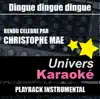 Dingue dingue dingue (Rendu célèbre par Christophe Maé) [Version karaoké] - Single album lyrics, reviews, download