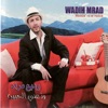 Wadih Mrad - Sheftik