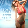 Dance Summer Nights: Vol. 1, 2010
