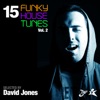 15 Funky House Tunes, Vol. 2 - Selected By David Jones