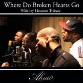 Where Do Broken Hearts Go (Whitney Houston Tribute) artwork