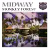 Monkey Forest (Jonas Stenberg Remix) - Single album lyrics, reviews, download