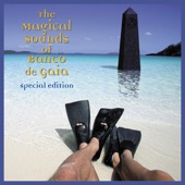 The Magical Sounds of Banco De Gaia (Special Edition) artwork