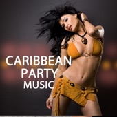 Caribbean Music Party Band - Caribbean Party Music