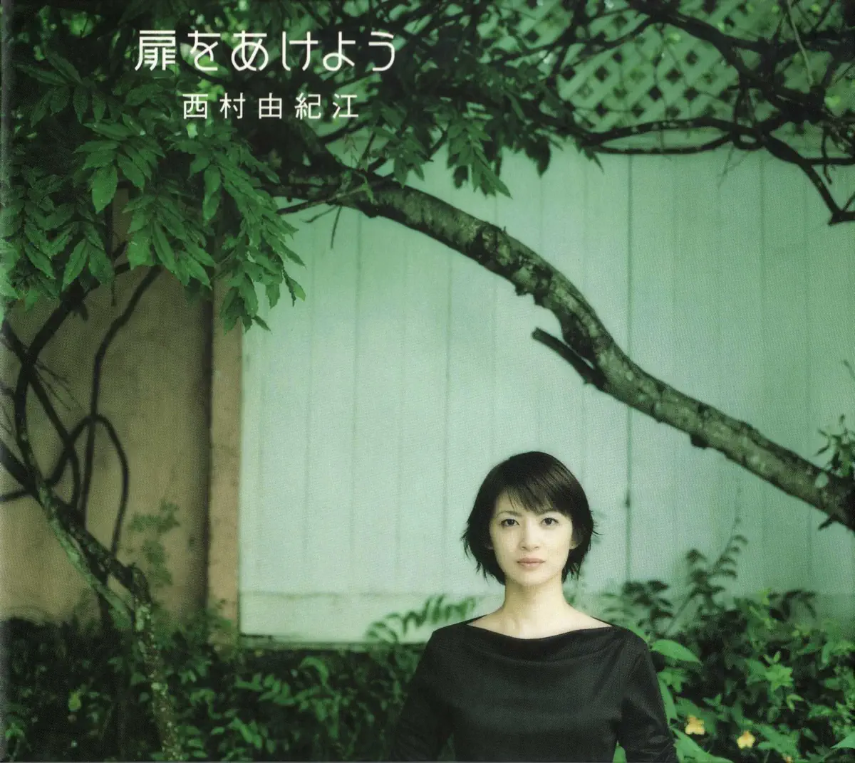 西村由紀江 - 扉をあけよう (2009) [iTunes Plus AAC M4A]-新房子