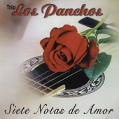 Siete Notas de Amor artwork