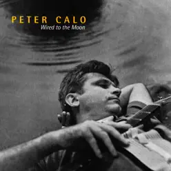 Wired to the Moon - Peter Calo Wired to the Moon - Peter Calo