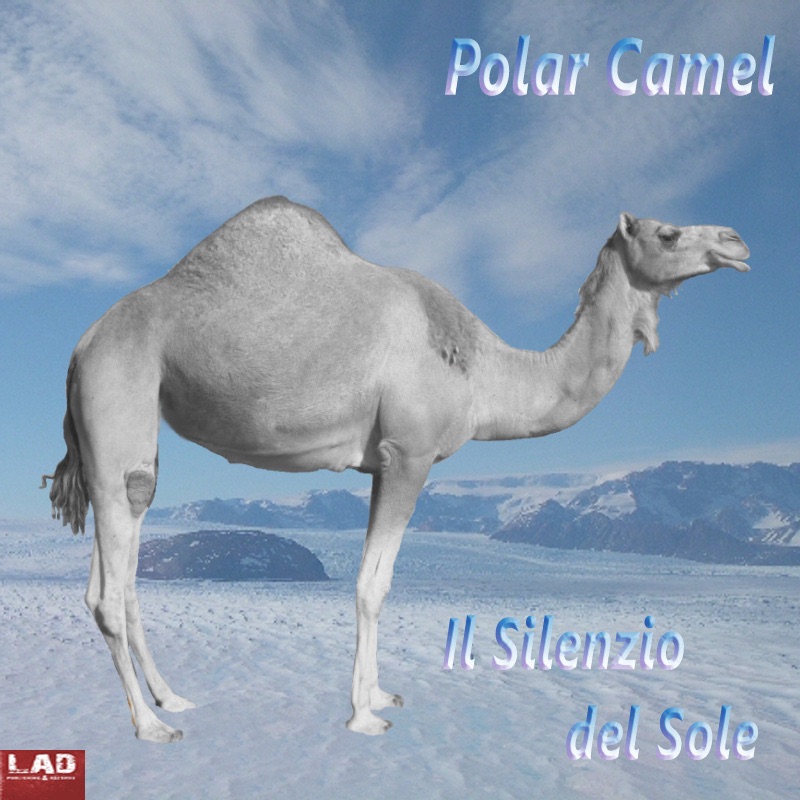 Лучшие песни Polar Camel.