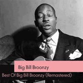 Big Bill Broonzy - Come Home Early