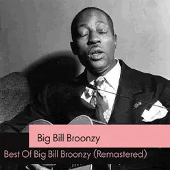 Best of Big Bill Broonzy (Remastered) - Big Bill Broonzy