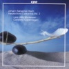 Lars Ulrik Mortensen & Concerto Copenhagen - Keyboard Concerto In G Minor, BWV 1058: II. Andante