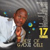 Best of Gadji Celi (17 tubes)