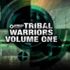 Tribal Warriors Vol. 1, 2010