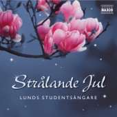 Lunds Studentsångare: Strålande Jul (Radiant Christmas) artwork