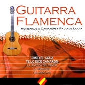 Nº 5 "Your Songs On Spanish Guitar" (Homenaje Flamenco A "Camarón De La Isla") artwork