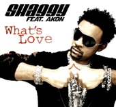 Shaggy - What's Love