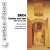 Bach: Cantatas for Solo Alto album lyrics, reviews, download