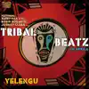 Stream & download Tribal Beatz of Africa (feat. Barry Van Zyl, Robin Hogarth & Johnny Clegg)