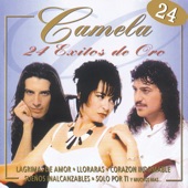 Camela 24 Exitos De Oro artwork