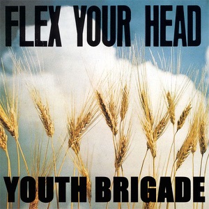 Flex Your Head