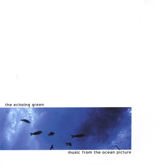 Cover artwork for Ceremony