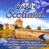 Spirit of Scotland - Over 30 Instrumental Favourites artwork