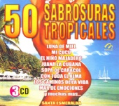 50 Sabrosuras Tropicales, 2004