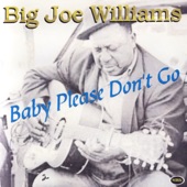 Big Joe Williams - Sinking Blues