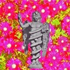 Pink Flowers - Single