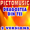 Dragostea Din Tei (Karaoke Version) [Originally Performed By O-Zone] - Pictomusic Karaoké